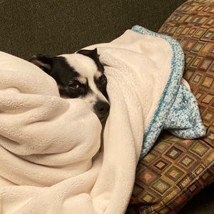 Meet your Posher, Robert